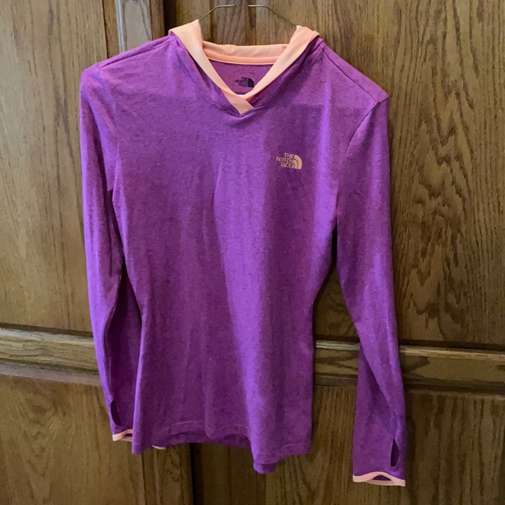 The north face flag dry hoodie